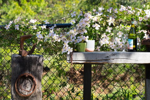 Cottage 4A - Tourism Townsville 4