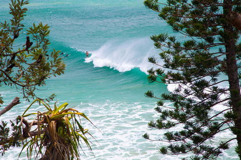 Rainbow Bay Backpackers - Tourism Townsville 15