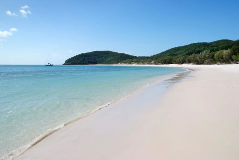 Poinciana 112 - Tourism Townsville 23