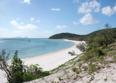Poinciana 112 - Tourism Townsville 27