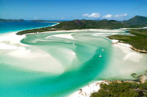 Poinciana 112 - Tourism Townsville 19