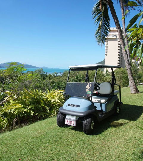 Poinciana 112 - Tourism Townsville 8