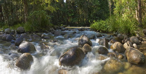 Silky Oaks Lodge - Tourism Townsville 20
