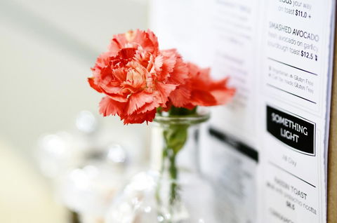 Madison Plaza Townsville - Tourism Townsville 20