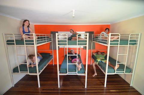 Backpackers In Paradise 18-35 Hostel - Tourism Townsville 21