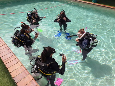 Backpackers In Paradise 18-35 Hostel - Tourism Townsville 18