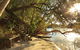 Serenity Apartments Noosa - thumb 4