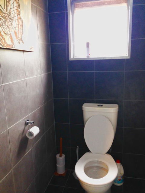 XYL Pets Friendly Seaside Boutique Guesthouse - Tourism Townsville 5