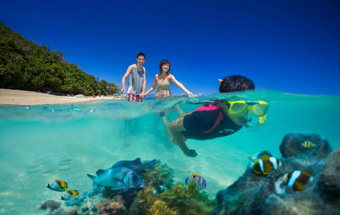 Fitzroy Island Resort - Tourism Townsville 22