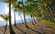 Palm Cove Beach Apartment - thumb 29