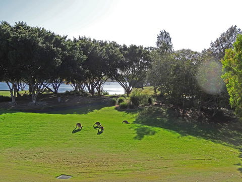 Waterfront Resort Villa With Buggy - Tourism Townsville 32