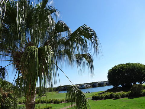 Waterfront Resort Villa With Buggy - Tourism Townsville 33