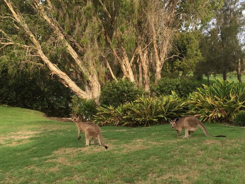 Waterfront Resort Villa With Buggy - Tourism Townsville 19