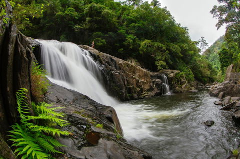 Coral Tree Inn - Tourism Townsville 40