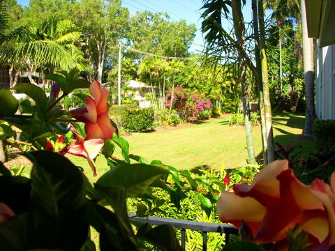Clifton Sands Holiday Units - Tourism Townsville 38
