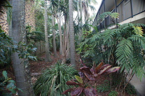Best Western Airport 85 Motel - Tourism Townsville 34