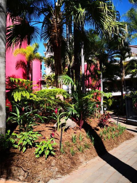 Enderley Gardens Resort - Tourism Townsville 12