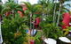 Enderley Gardens Resort - thumb 34