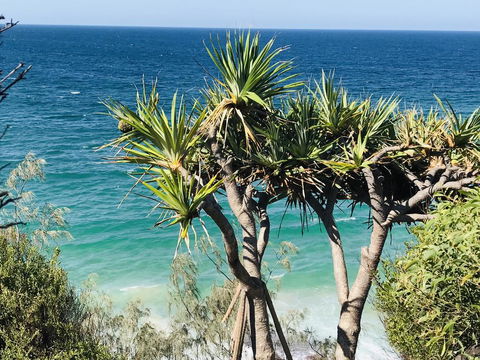 Waves And White Horses Seaview Retreat (adults Only) - Tourism Townsville 0