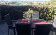 Wilton Place - thumb 3