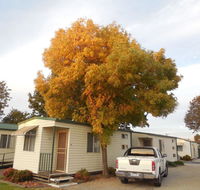 Wodonga Caravan  Cabin Park - Tourism Townsville