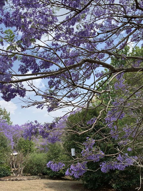 Wyndover Mountain Retreat - Tourism Townsville 1