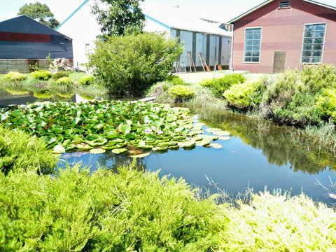 Yarragon Dairy Family Room - Tourism Townsville 1