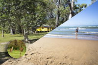 Yellow Cottage - bush and beach