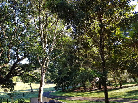 Bee-Haven Cottage - Tourism Townsville 7