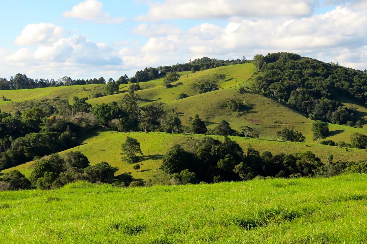 Reesville QLD Tourism Townsville