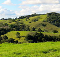 Maleny Springs Farm - Tourism Townsville