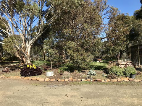 Beeâ€™s Place - 3 Bedroom Home On 10 Acres Of Land With Distant Ocean Views - Tourism Townsville 15