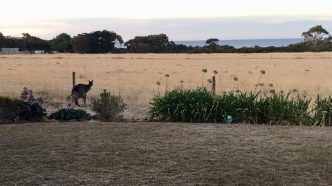 Beeâ€™s Place - 3 Bedroom Home On 10 Acres Of Land With Distant Ocean Views - Tourism Townsville 23