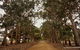 Hanson Bay Cabins - thumb 21