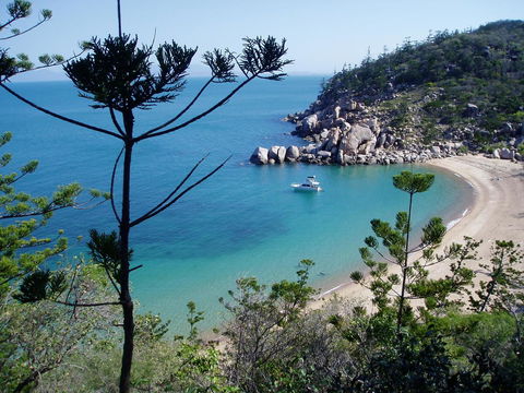 Tropical Palms Resort & 4WD Hire - Tourism Townsville 33