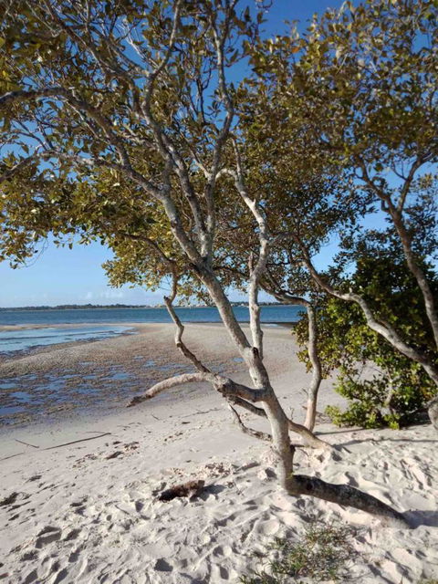 Modern Beach Villa - Tourism Townsville 15