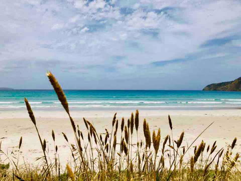 Modern Beach Villa - Tourism Townsville 14