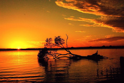 Pet Friendly Cottage In The Heart Of Bribie - Wirraway St, Bongaree - Tourism Townsville 8