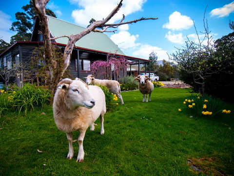 Parnella Adventure Bay, Bruny Island - Tourism Townsville 19