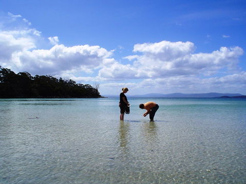 Bruny Island Escapes And Hotel Bruny - Tourism Townsville 36