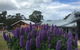 Bruny Island Lodge - thumb 5
