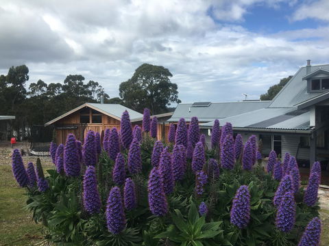Bruny Island Lodge - Tourism Townsville 5