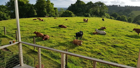 Seasons Of Maleny B&B - Tourism Townsville 1