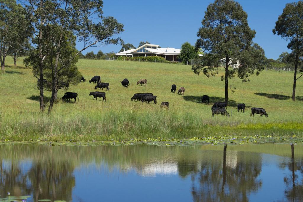 Wang Wauk NSW Tourism Townsville