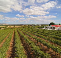 1837 Barossa Luxury Vineyard Cottages - Tourism Townsville