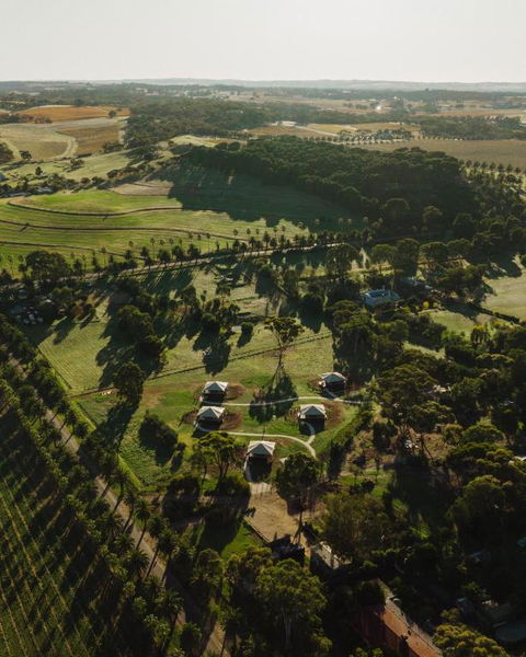CANVS By CABN Seppeltsfield Barossa - Tourism Townsville 1
