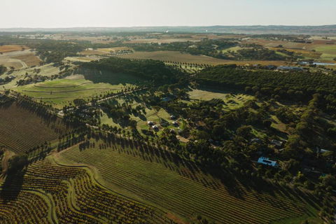 CANVS By CABN Seppeltsfield Barossa - Tourism Townsville 2