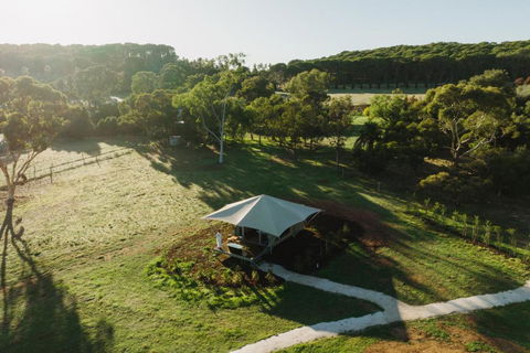 CANVS By CABN Seppeltsfield Barossa - Tourism Townsville 0