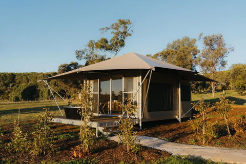CANVS By CABN Seppeltsfield Barossa - Tourism Townsville 3