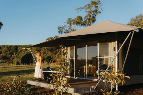 CANVS By CABN Seppeltsfield Barossa - Tourism Townsville 4